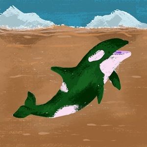 Meet your Posher, Wayne